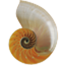 ShinTTK